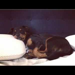 Meet your Posher, Megan